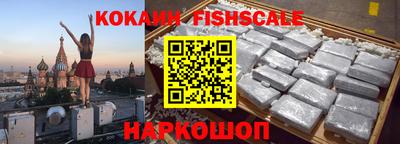 твердый Кингисепп