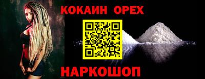 твердый Кингисепп