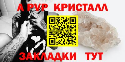 твердый Кингисепп