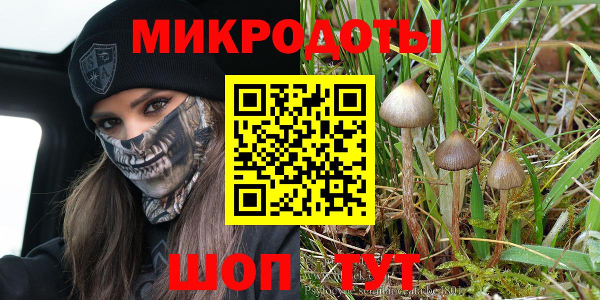 Псилоцибиновые грибы GOLDEN TEACHER  Галлюциногенные грибы Magic Shrooms  Вход с VPN  Аксай 